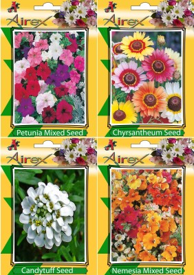 Airex Petunia Mixed, Chrysanthemum, Nemesia Mixed and Candytuff Flower Seeds (Pack Of 20 Seeds * 4 Per Packet) Seed(20 per packet)