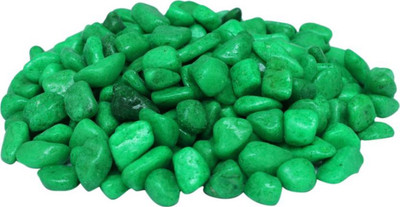 

Foodie Puppies Green Pebbles Glossy Stones For Home Decorative, Vase Fillers, Aquarium Fish Tank,Garden (Polished 1 Kg) River Rock Unplanted Substrate(Green)