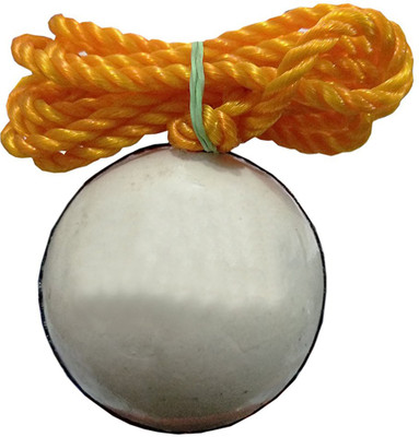 

PSE A5 Hanging Cricket Tennis Ball(Pack of 1, Red)