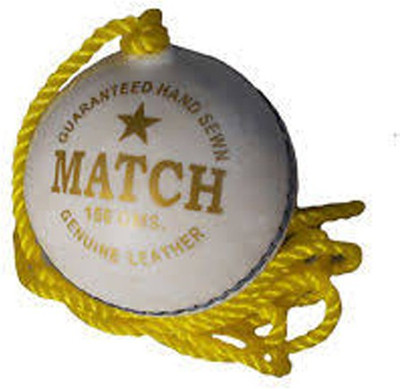 

PSE A8 Hanging Cricket Tennis Ball(Pack of 1, White)