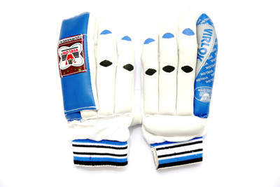 

VIRLOK 2001 Batting Gloves (Men, White, Blue)
