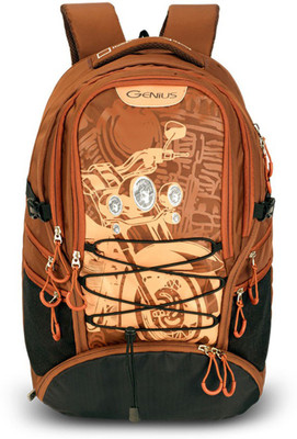 

Genius 17 inch Laptop Backpack(Brown)