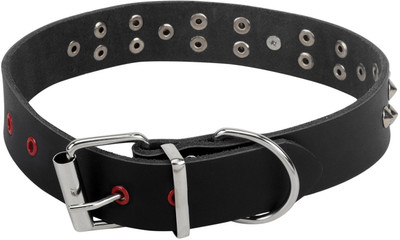 

Sri 20 cm Dog Strap Leash(Black)