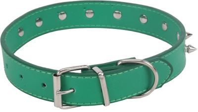 

Sri 20 cm Dog Strap Leash(Green)