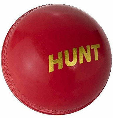 

DSC HUNT Cricket Rubber Ball(Pack of 1, Red)