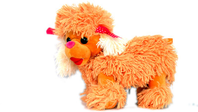 

DINAARKAN SOFT AND CUTE GOLDEN PUPPY DOG STUFFED TOY 30 cm - 28 cm(Multicolor)