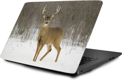 

Takshak Laptop Skin decal 15.6 inch- Laptop skin-841 Vinyl Laptop Decal 15.6