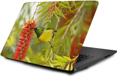 

Printclub Laptop Skin decal 15.6 inch- Laptop skin-828 Vinyl Laptop Decal 15.6