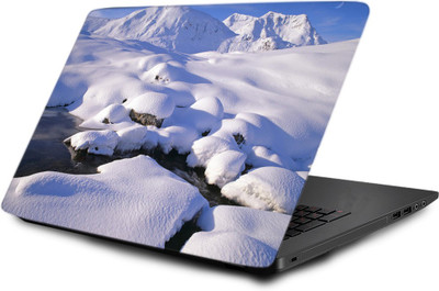 

Printclub Laptop Skin decal 15.6 inch- Laptop skin-844 Vinyl Laptop Decal 15.6
