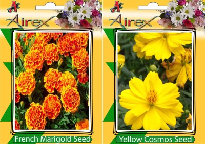 Airex French Marigold and Yellow Cosmos (Summer) Flower Seed + Humic Acid Fertilizer (For Growth of All Plant and Better Responce) 15 gm Humic Acid + Pack Of 30 Seeds * 2 Per Packet Seed(30 per packet)