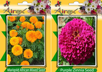 

Airex Marigold African Mixed and Purple Zinnia (Summer) Flower Seed (Pack Of 25 Seed * 2 Per Packet) Seed(25 per packet)