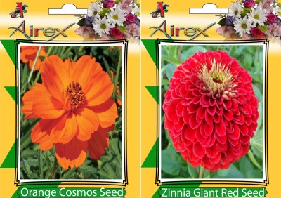 Airex Orange Cosmos and Zinnia Giant Red (Summer) Flower Seeed + Humic Acid Fertilizer (For Growth of All Plant and Better Responce) 15 gm Humic Acid + Pack Of 30 Seeds * 2 Per Packet Seed(30 per packet)