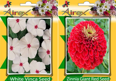 

Airex White Vinca and Zinnia Giant red (Summer) Flower Seed (Pack Of 20 Seed * 2 Per Packet) Seed(20 per packet)