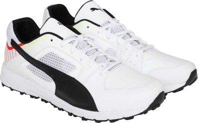 Buy Puma Team Rubber Cricket Shoes For 