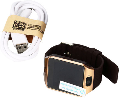 

Landmark smartwatch Smartwatch(Brown Strap XL)