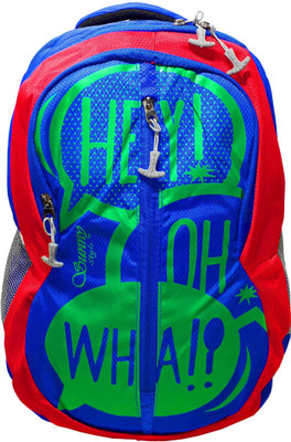 

Rahman Bags Latest Casual Use 20 L Backpack(Blue)
