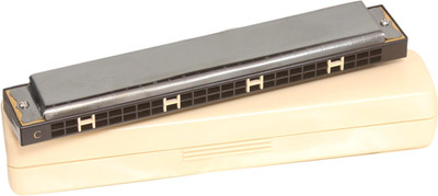 

Homeshopeez 24 Holes Professional Mouth Organ(Silver)