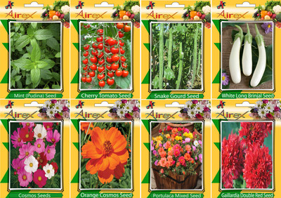 

Airex Mint, Tomato Cherry, Snake Gourd, White Long Brinjal, Cosmos Mixed, Orange Cosmos, Portulaca Mixed and Gaillardia dDouble Red (Summer) Seed + Humic Acid Fertilizer (For Growth of All Plant and Better Responce) + 15 gm Humic Acid + Pack Of 30 Seeds *