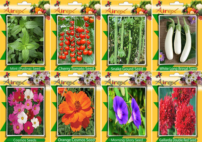 

Airex Mint, Tomato Cherry, Snake Gourd, White Long Brinjal, Cosmos Mixed, Orange Cosmos, Morning Glory and Gaillardia Double Red (Summer) Seed + Humic Acid Fertilizer (For Growth of All Plant and Better Responce) + 15 gm Humic Acid + Pack Of 30 Seeds * 7 