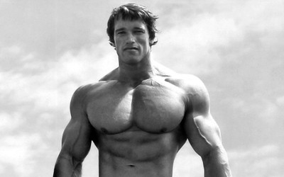

Celebrity Arnold Schwarzenegger Actors Austria HD Wall Poster Fine Art Print(12 inch X 18 inch, Rolled)