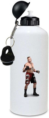 

Juvixbuy bottle 750 ml Sipper(Pack of 1, Multicolor)