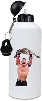 

Juvixbuy bottle 750 ml Sipper(Pack of 1, Multicolor)