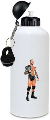 

Juvixbuy bottle 750 ml Sipper(Pack of 1, Multicolor)