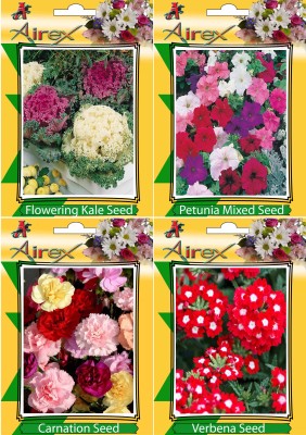 Airex Flowering Kale, Petunia Mixed, Carnation and Verbena Flower Seeds + Humic Acid Fertilizer (For Growth of All Plant and Better Responce) 15 gm Humic Acid + Pack Of 30 Seeds * 4 Per Packet Seed(30 per packet)