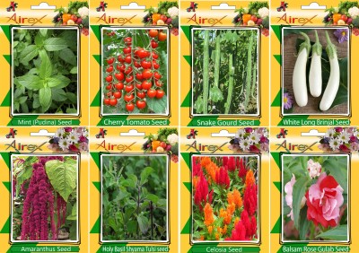 Airex Mint, Tomato Cherry, Snake Gourd, White Long Brinjal, Red Amaranthus, Holy Basil (Shyama Tulsi), Celosia and Balsam Rose Gulab Seed (Pack Of 20 Seed * 8 Per Packet Seed(20 per packet)