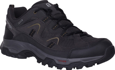 

Salomon Fortaleza Waterproof For Men(Multicolor, Black