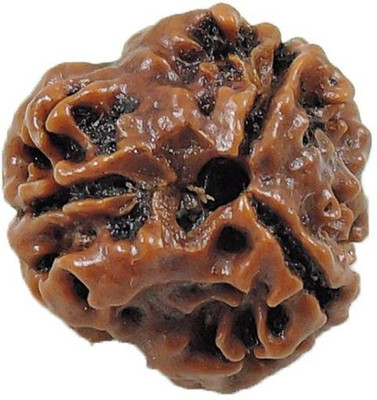 Numeroastro 3 Mukhi Natural & Genuine Certified Rudraksha Beads Wooden Yantra(Pack of 1)