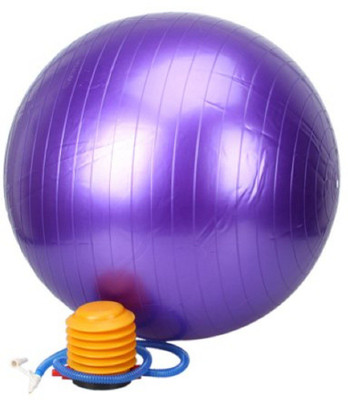 

Jern Fitness Exercise Stability Gym Ball(With Pump), Purple