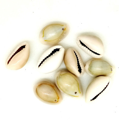 

Aadya Crafts Sea Shell Mould 5