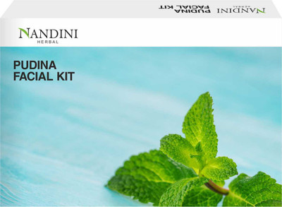

Nandini Herbal Care Pudina Facial Kit 170 g(Set of 4)