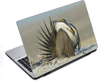 ezyPRNT The Vulture (14 to 14.9 inch) Vinyl Laptop Decal 14