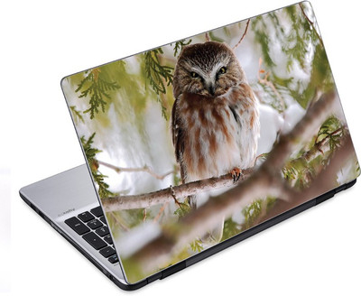 

ezyPRNT The Dangerous Owl (14 to 14.9 inch) Vinyl Laptop Decal 14