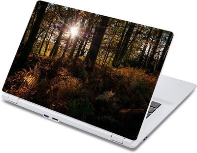 

ezyPRNT Beautiful Jungle (13 to 13.9 inch) Vinyl Laptop Decal 13