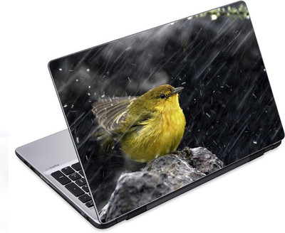 

ezyPRNT The Bird In Drizzle (14 to 14.9 inch) Vinyl Laptop Decal 14