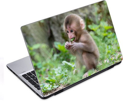 

ezyPRNT Hungry Monkey (14 to 14.9 inch) Vinyl Laptop Decal 14