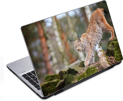 

ezyPRNT The Big Cat (14 to 14.9 inch) Vinyl Laptop Decal 14
