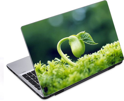 

ezyPRNT The Blooming Plant (14 to 14.9 inch) Vinyl Laptop Decal 14