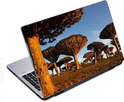 

ezyPRNT Dragon Tree Nature (14 to 14.9 inch) Vinyl Laptop Decal 14