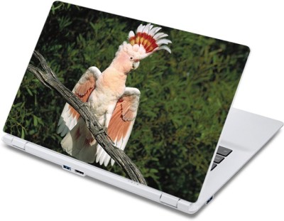 

ezyPRNT The Parrot King (13 to 13.9 inch) Vinyl Laptop Decal 13