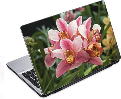

ezyPRNT Amazing Pink Flower Nature (14 to 14.9 inch) Vinyl Laptop Decal 14