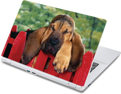 

ezyPRNT No Time to Sleep Pet Animal (13 to 13.9 inch) Vinyl Laptop Decal 13