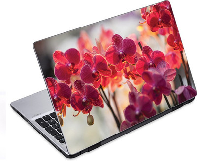 ezyPRNT Orchedia HD 14 to 14.9 inch Vinyl Laptop Decal 14