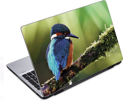 

ezyPRNT The Beautiful Blue Bird (14 to 14.9 inch) Vinyl Laptop Decal 14