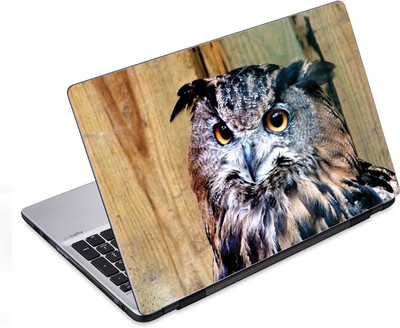 

ezyPRNT The Owl Bird (14 to 14.9 inch) Vinyl Laptop Decal 14