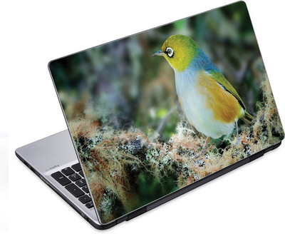 

ezyPRNT Cute Bird Sit (14 to 14.9 inch) Vinyl Laptop Decal 14