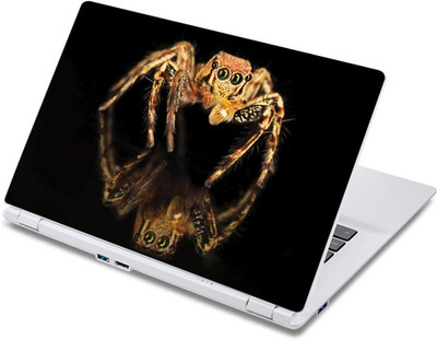 

ezyPRNT The Spider on Black Mirror Nature (13 to 13.9 inch) Vinyl Laptop Decal 13